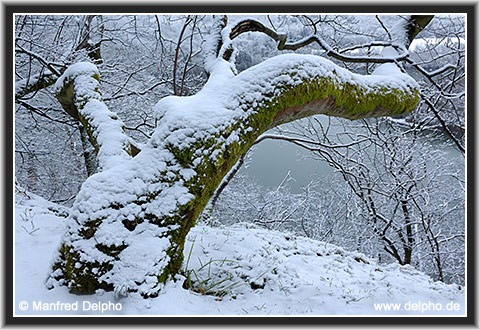 zurck zur Kategorie-bersicht