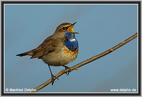 zurck zur Kategorie-bersicht