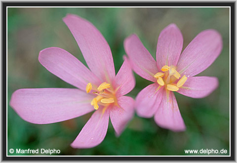 zurck zur Kategorie-bersicht