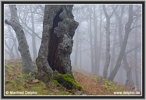zur�ck zur Kategorie-�bersicht