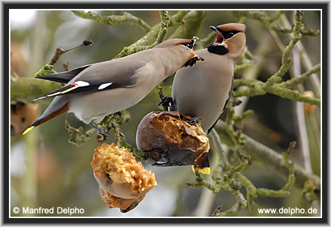 zur�ck zur Kategorie-�bersicht
