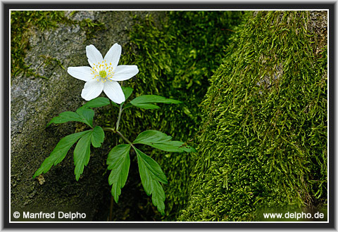zur�ck zur Kategorie-�bersicht