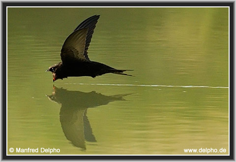 zur�ck zur Kategorie-�bersicht