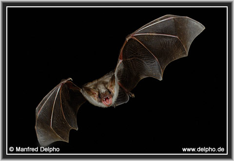 zur�ck zur Kategorie-�bersicht