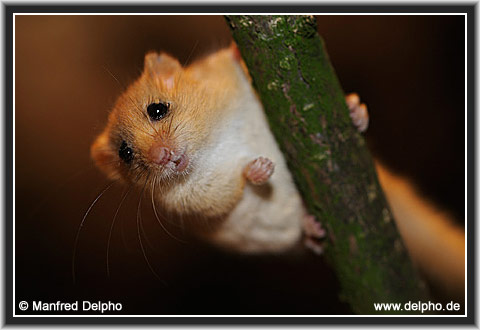 zur�ck zur Kategorie-�bersicht