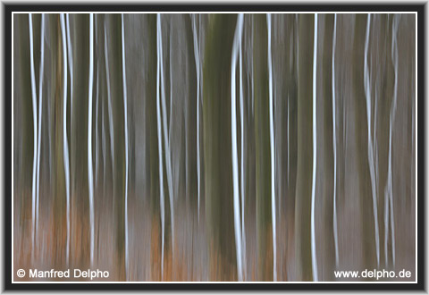 zur�ck zur Kategorie-�bersicht