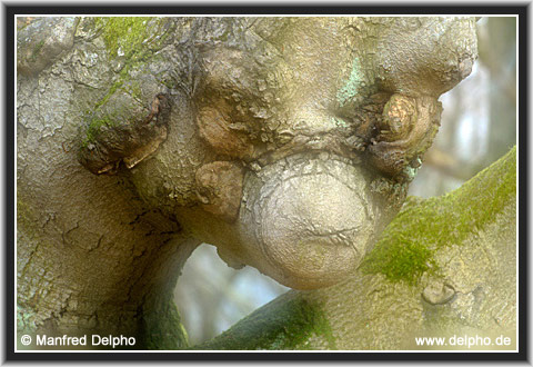 zurck zur Kategorie-bersicht