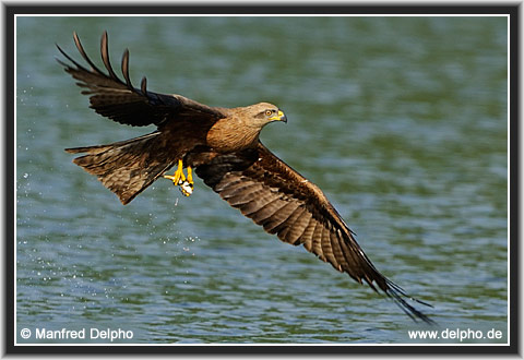 zurck zur Kategorie-bersicht