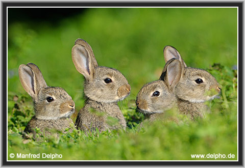 zurck zur Kategorie-bersicht