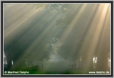 zurck zur Kategorie-bersicht