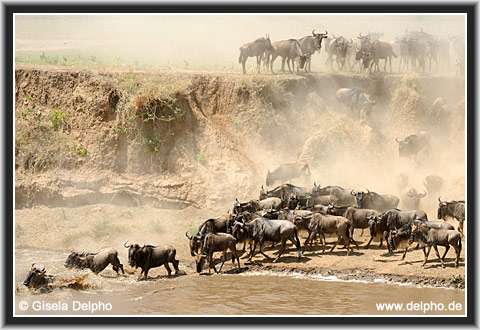 zurck zur Kategorie-bersicht