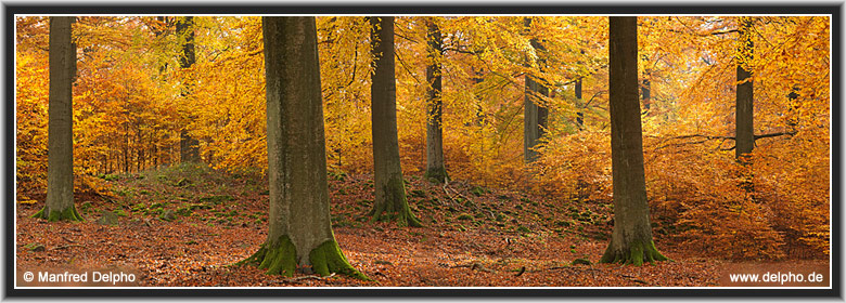 zurck zur Kategorie-bersicht