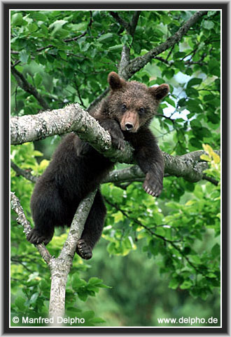 zurck zur Kategorie-bersicht