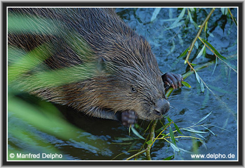 zurck zur Kategorie-bersicht