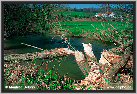 zurck zur Kategorie-bersicht