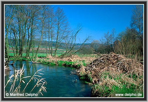 zurck zur Kategorie-bersicht