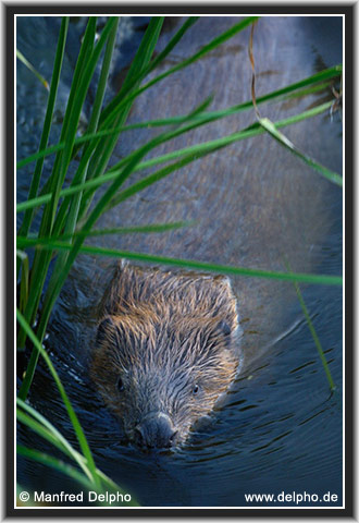 zurck zur Kategorie-bersicht