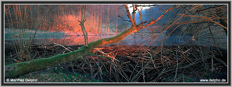 zurck zur Kategorie-bersicht