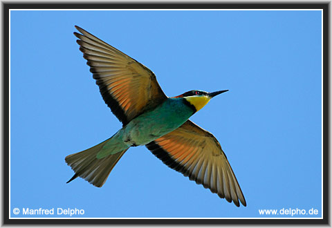 zurck zur Kategorie-bersicht