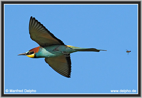 zurck zur Kategorie-bersicht