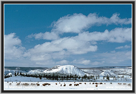 back to the Category Overview