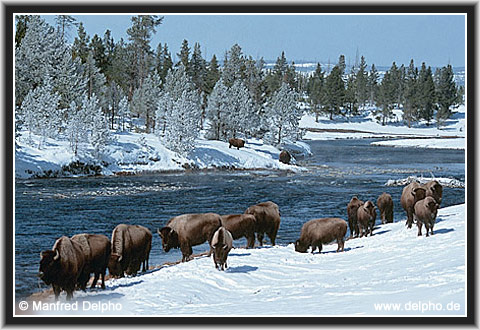 back to the Category Overview