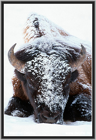 back to the Category Overview