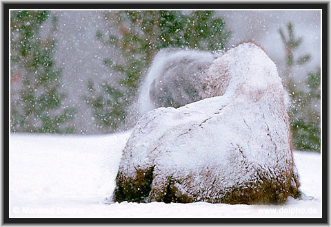 back to the Category Overview