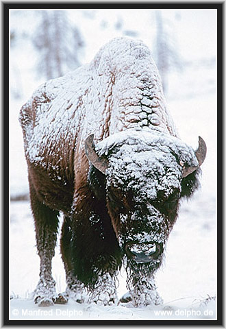 back to the Category Overview