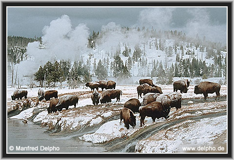 back to the Category Overview