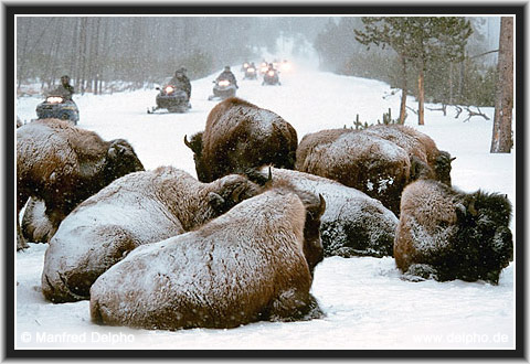 back to the Category Overview