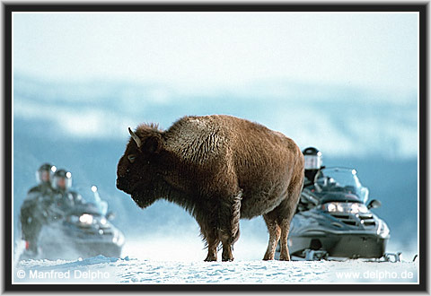 back to the Category Overview