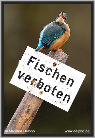 zurck zur Kategorie-bersicht