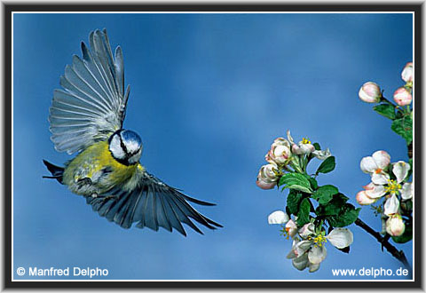 zurck zur Kategorie-bersicht