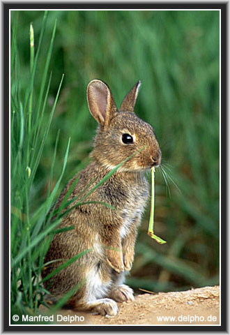 zurck zur Kategorie-bersicht