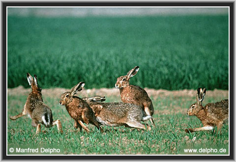 back to the Category Overview