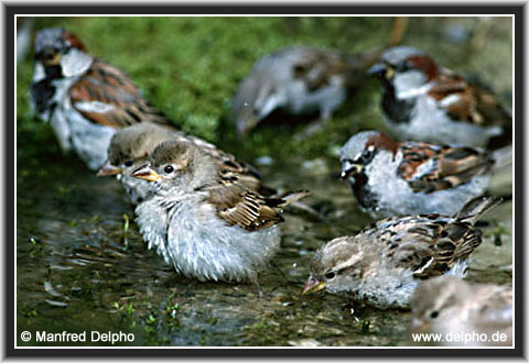 back to the Category Overview