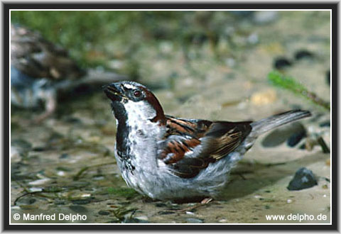 back to the Category Overview