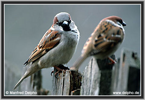 back to the Category Overview