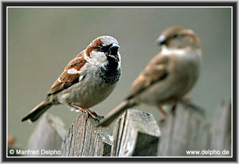 back to the Category Overview