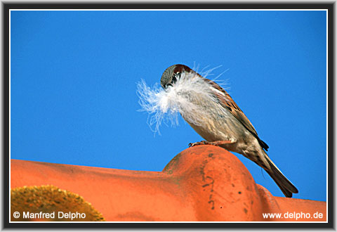 back to the Category Overview