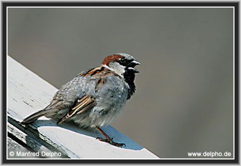 back to the Category Overview