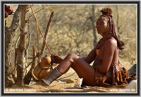 back to the Category Overview