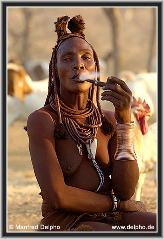 back to the Category Overview