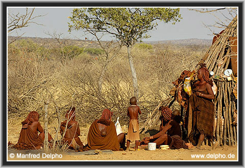 back to the Category Overview