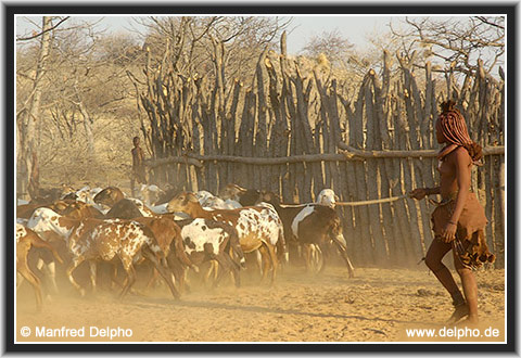 back to the Category Overview