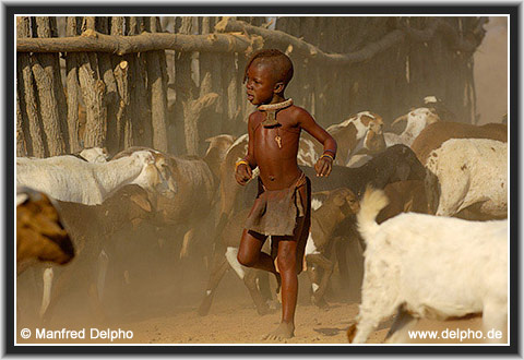 back to the Category Overview