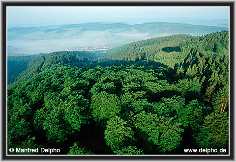 zurck zur Kategorie-bersicht