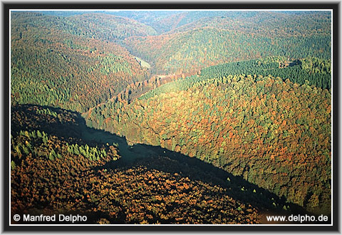zurck zur Kategorie-bersicht