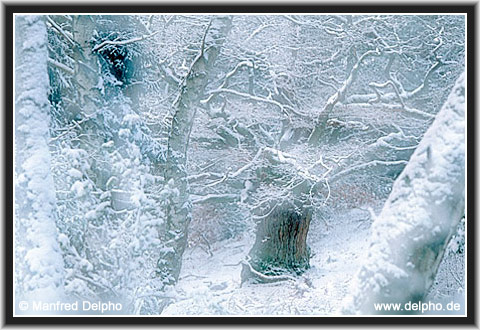 zurck zur Kategorie-bersicht